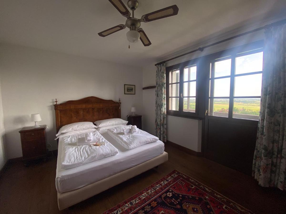 Agriturismo Scacciapensieri Buttrio 外观 照片